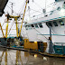 Newlyn Market Report Overview