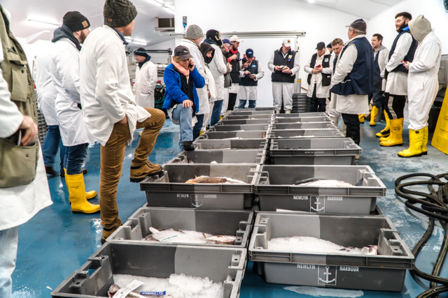 fish auction